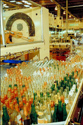 bottles34878846.jpg